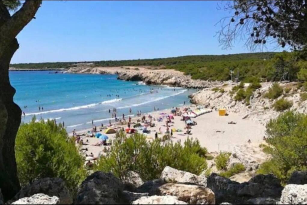 Studio Mer Et Vacances Sausset-les-Pins Ngoại thất bức ảnh